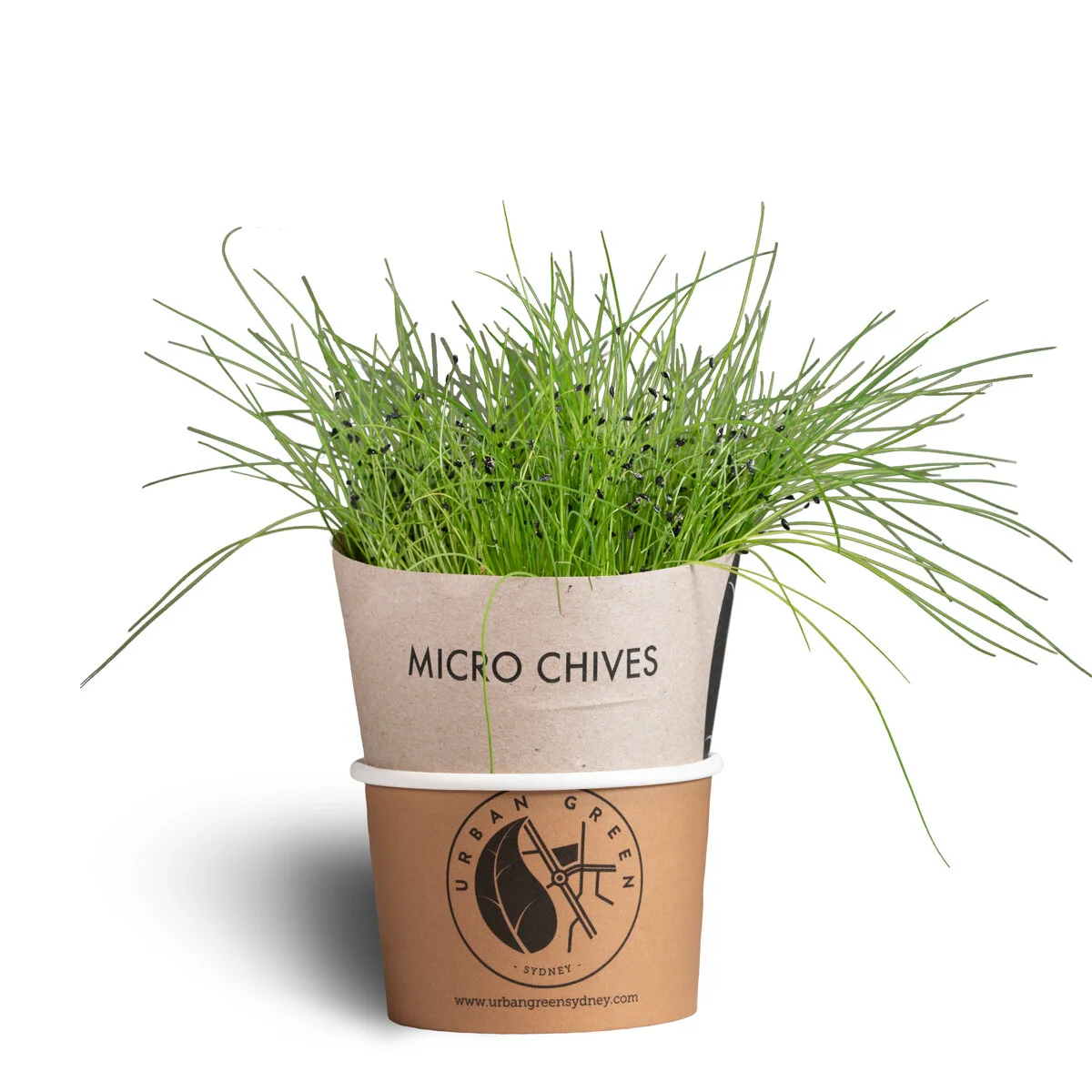 Micro_chives_pot.jpg