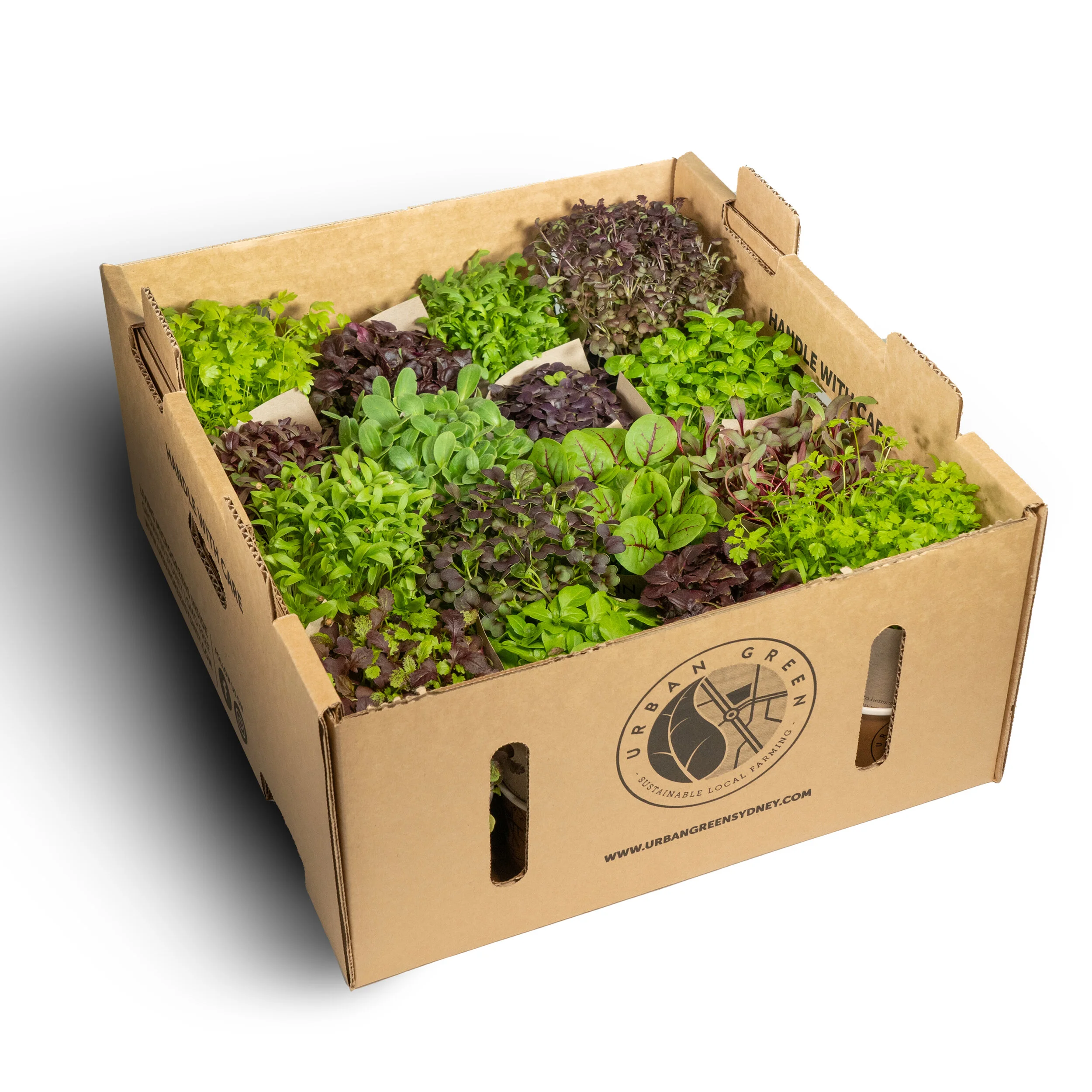 Box_big_1.jpg