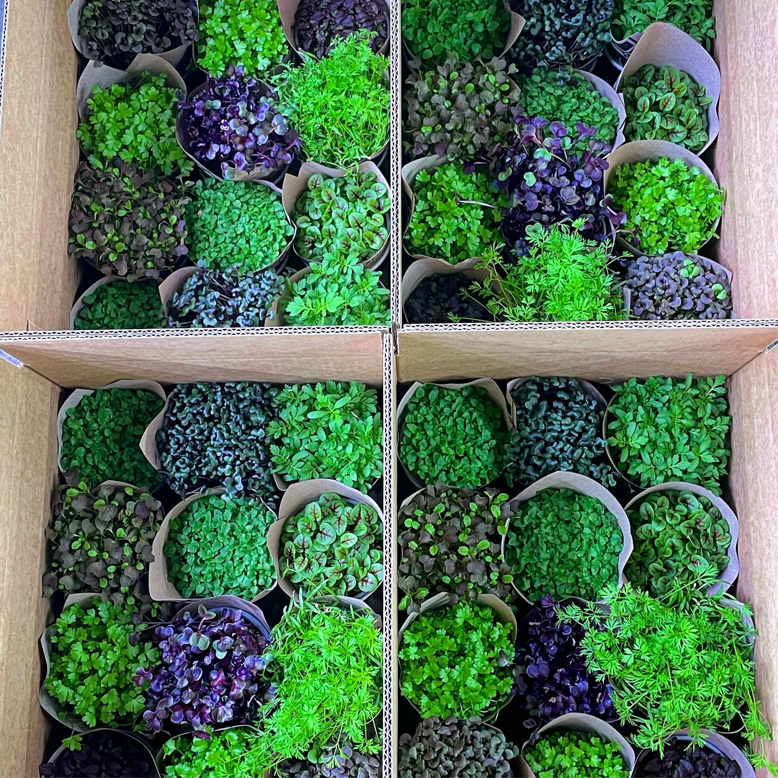 888A5A2B-F44B-4F9E-8B72-CAA6B88ADC02