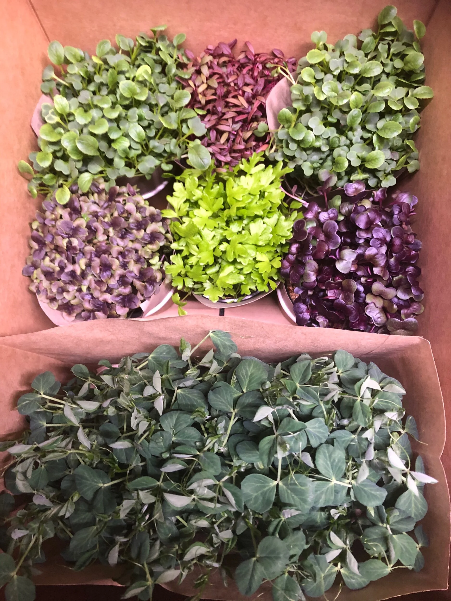 F687164D-26E7-46F1-9A66-71C0BC53C2B8