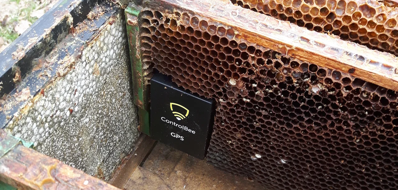 zdjęcie: ControlBee