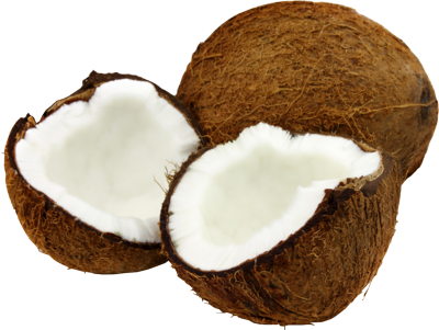 Coconuts-psd95753.png