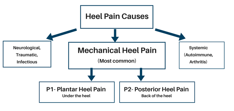 Plantar Fasciitis Physical Therapy for Heel Pain | ATI