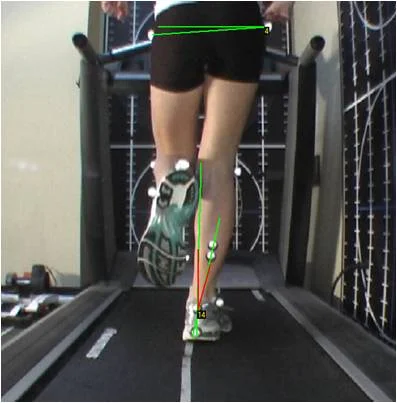 gait-example3.jpg
