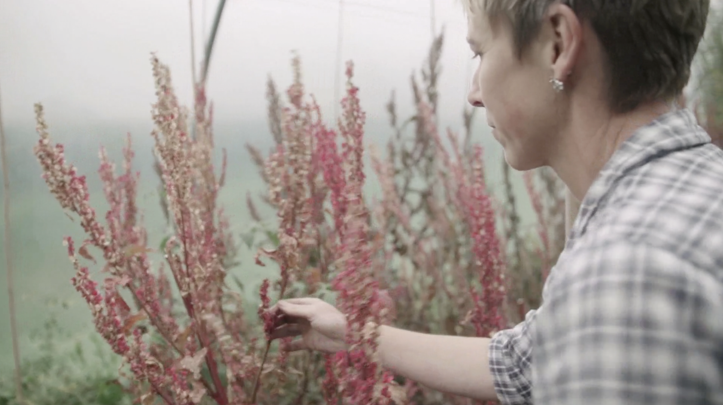 kate reel seeds.png