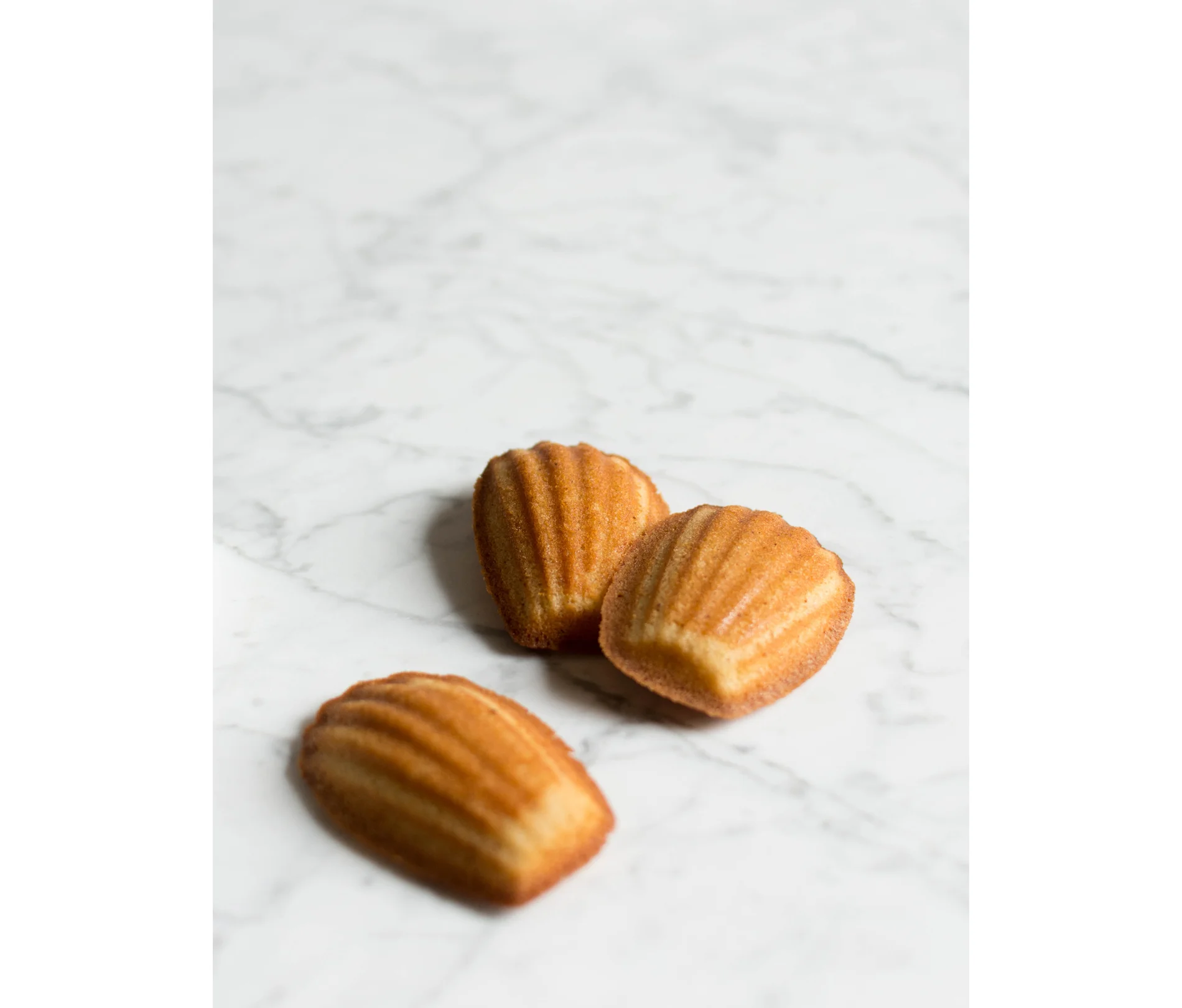 brown butter & honey madeleines