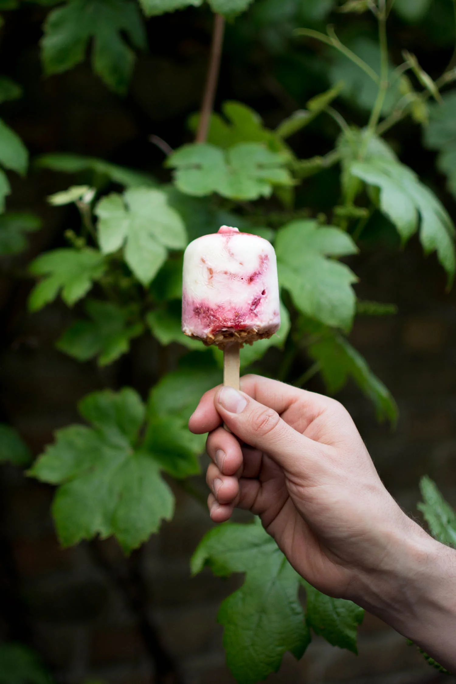 raspberry rhubarb yogurt pops w/ almond crunch