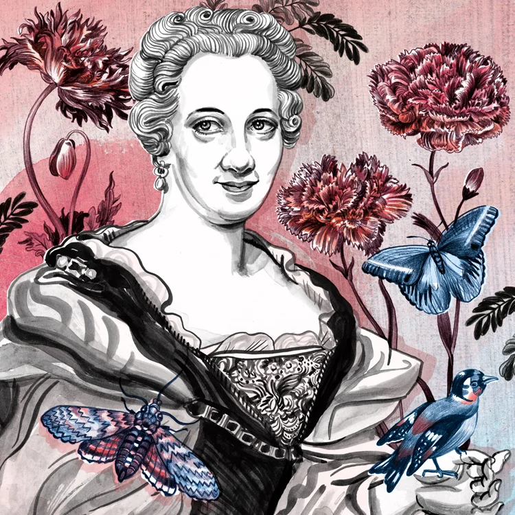 Maria Sibylla Merian