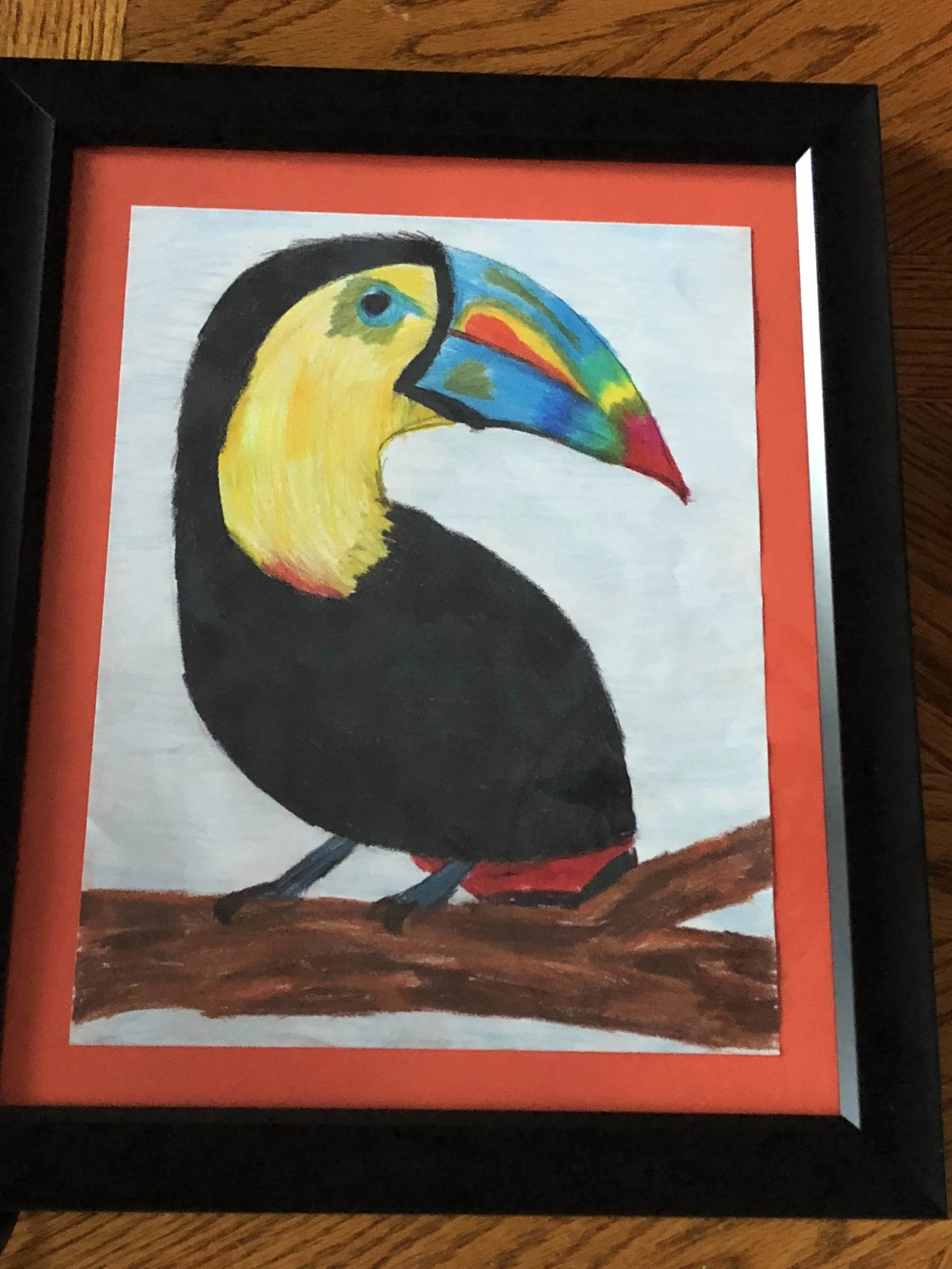 Toucan
