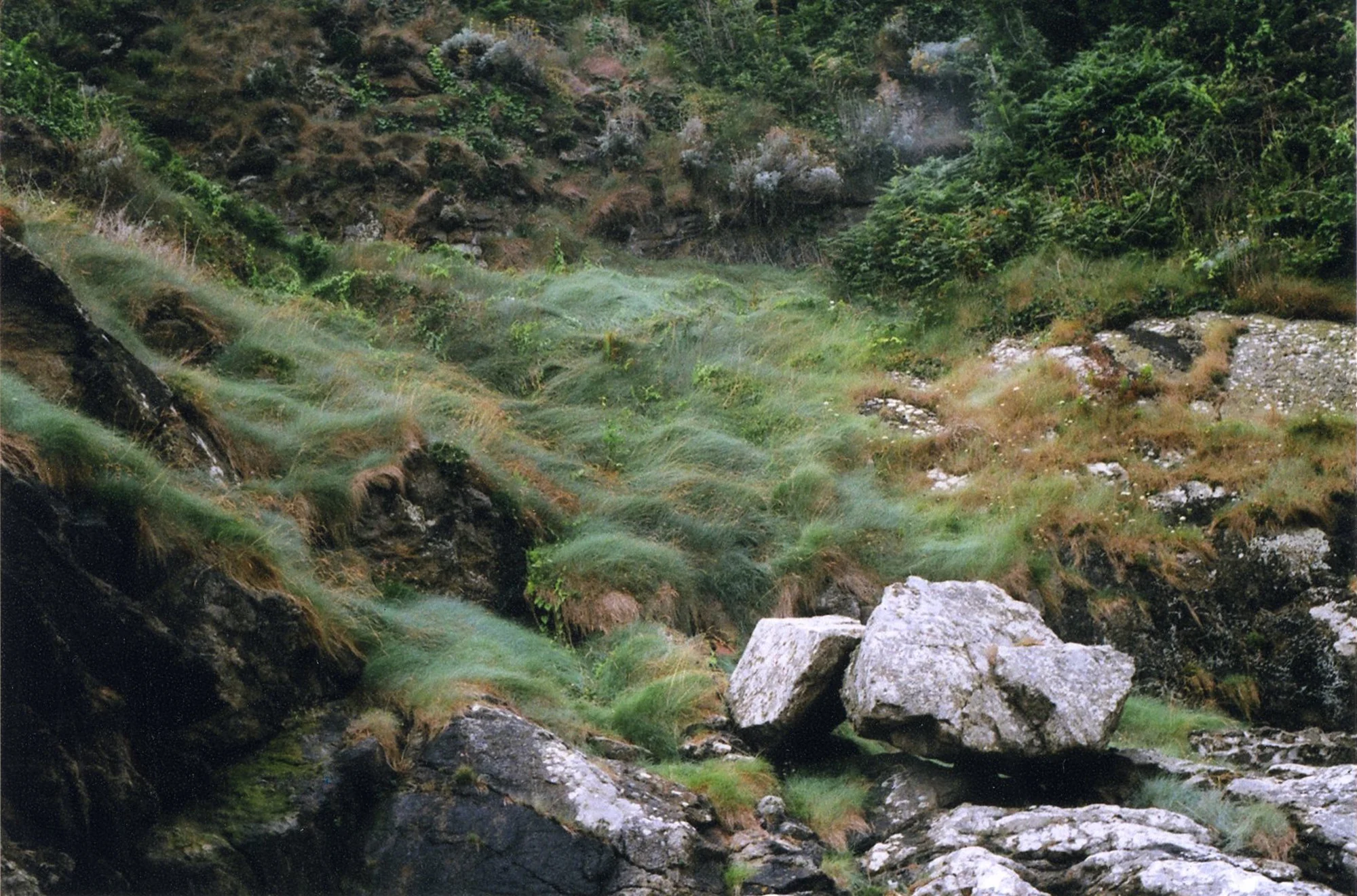 img012.jpg