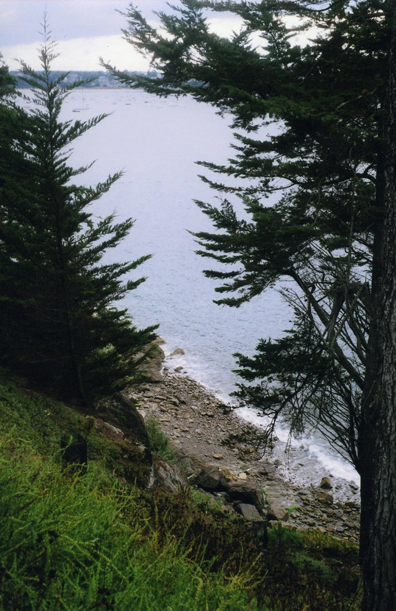 img014 copy.jpg