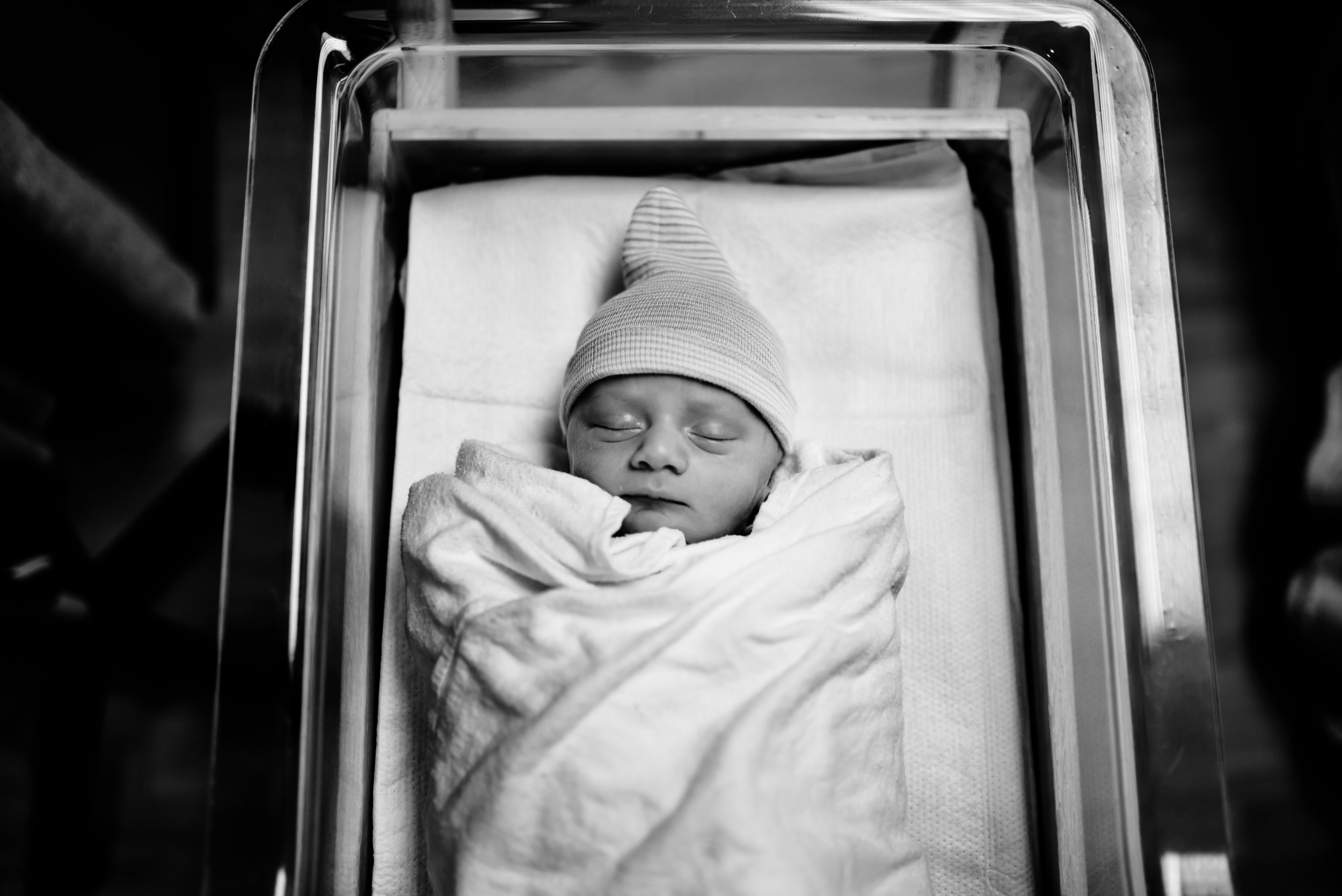 Virtual Gender Reveal | Fresh 48 Session