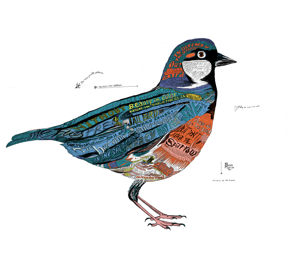 Sparrow_web.jpg