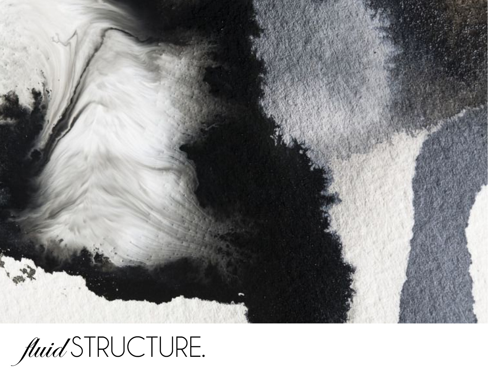 fluid structure.jpg