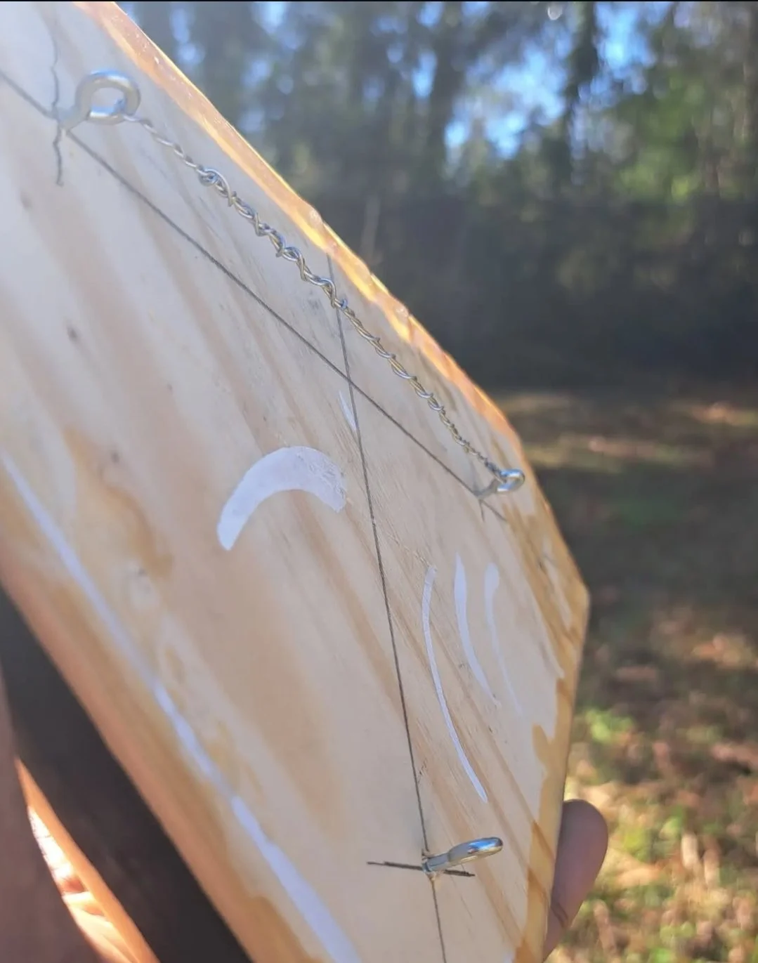 dophin in a diamond_3.jpg