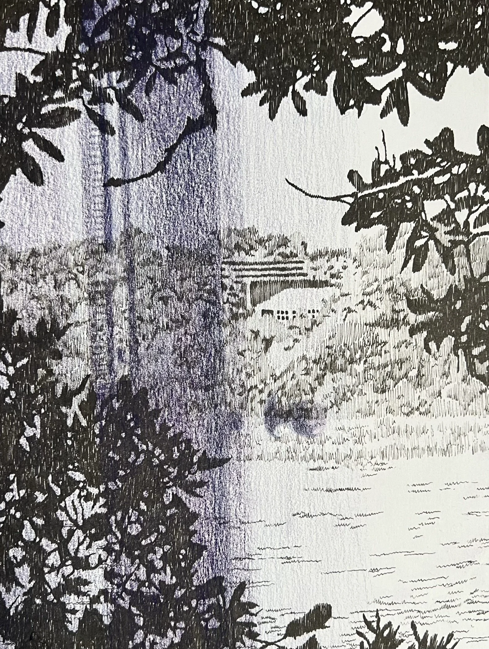 Distant View