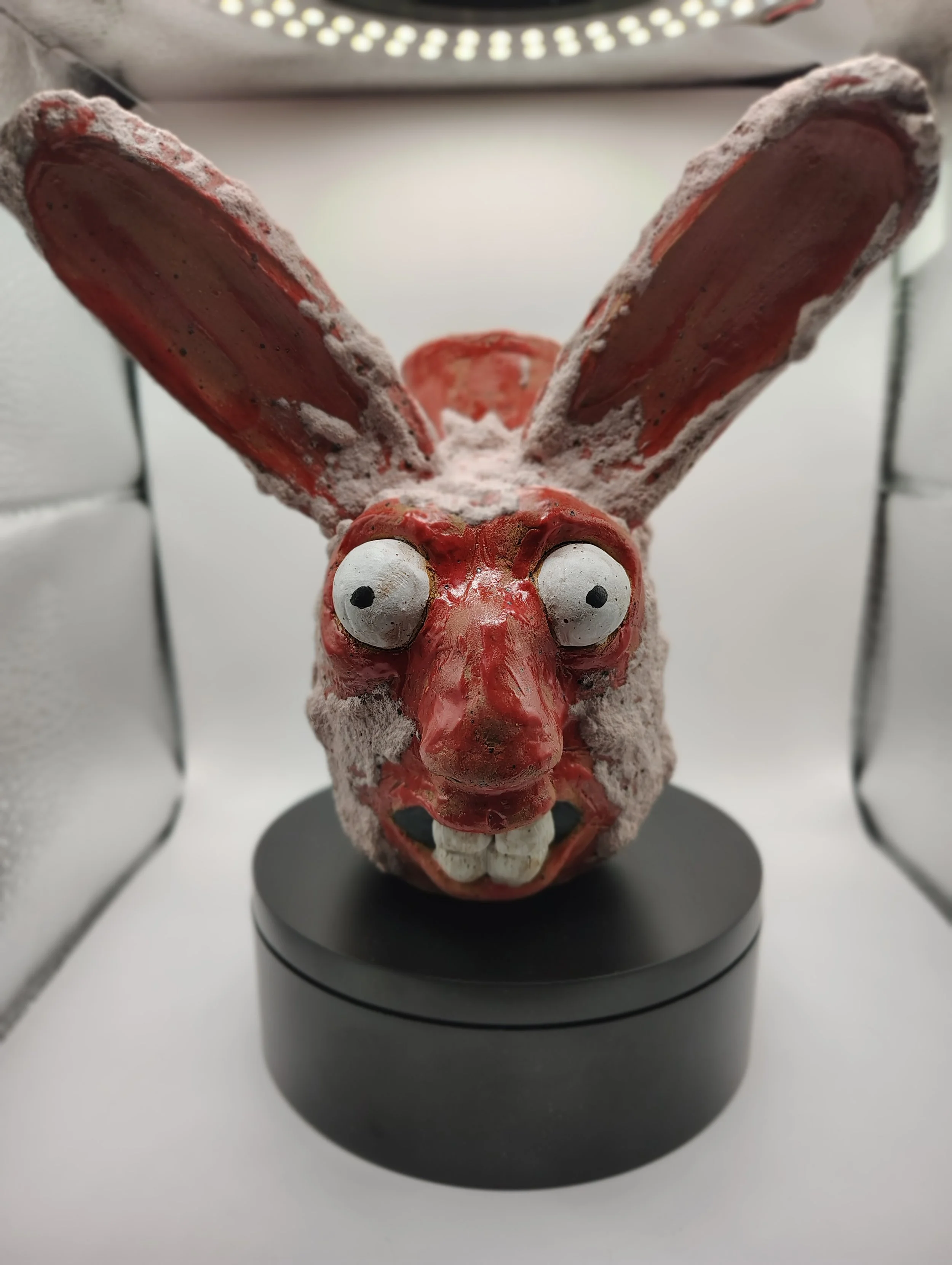 Bunny Front.jpg