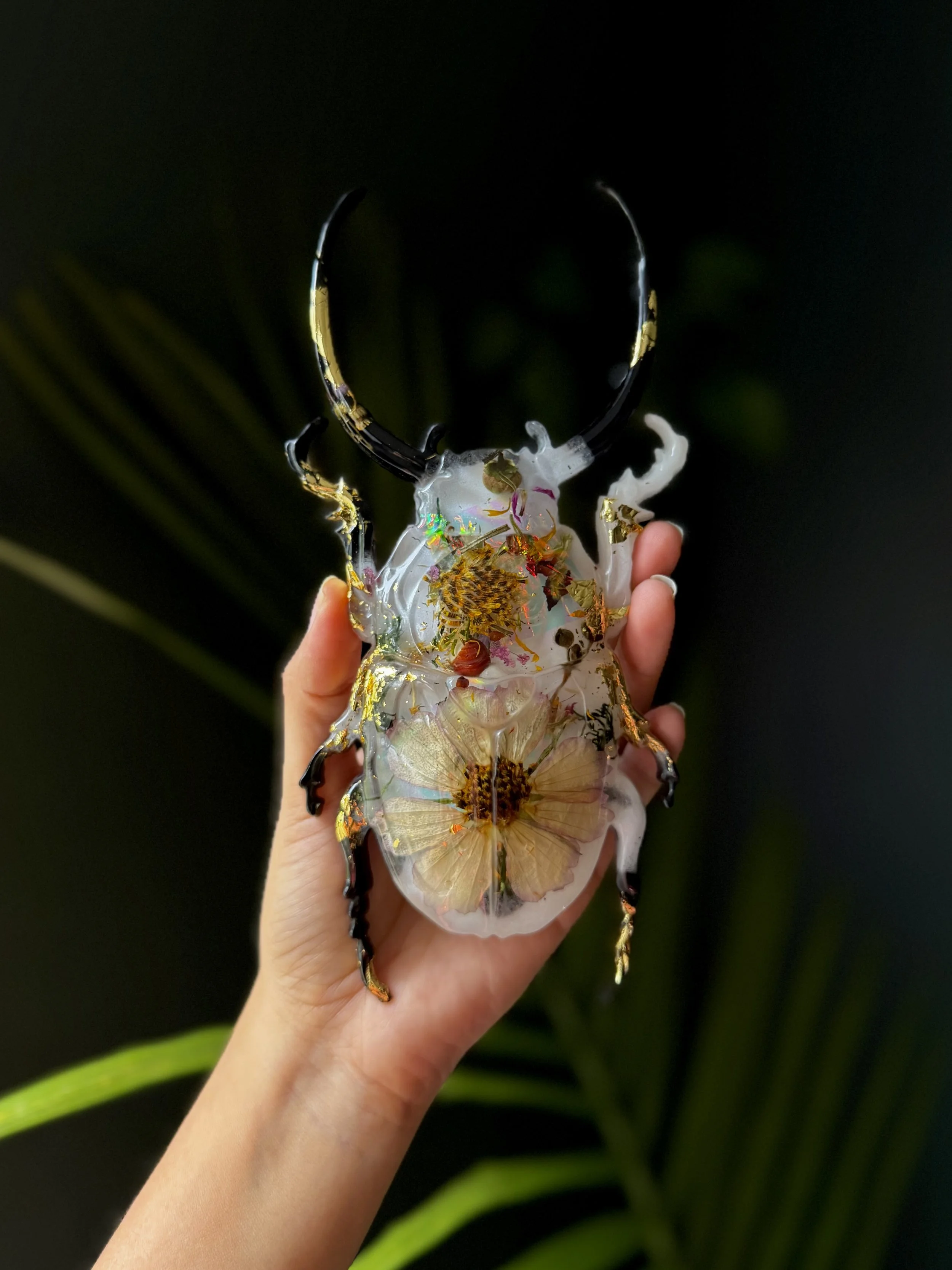 Botanical Beetle  Wall Art
