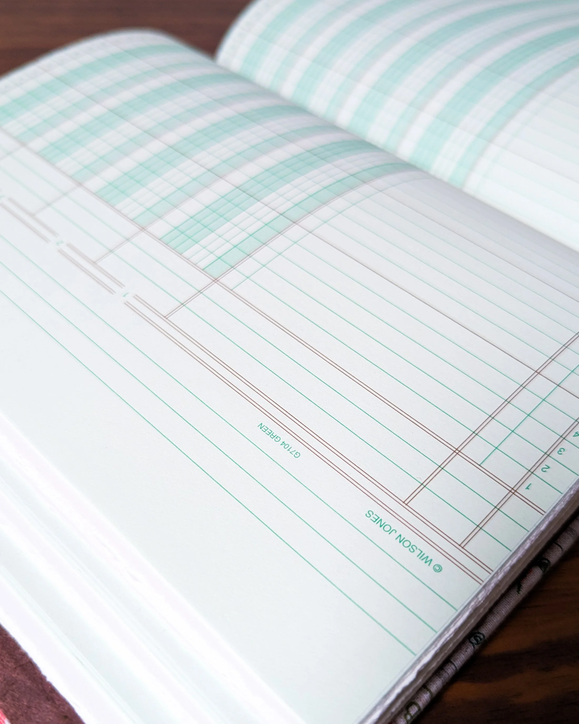veggie garden journal 3.jpg