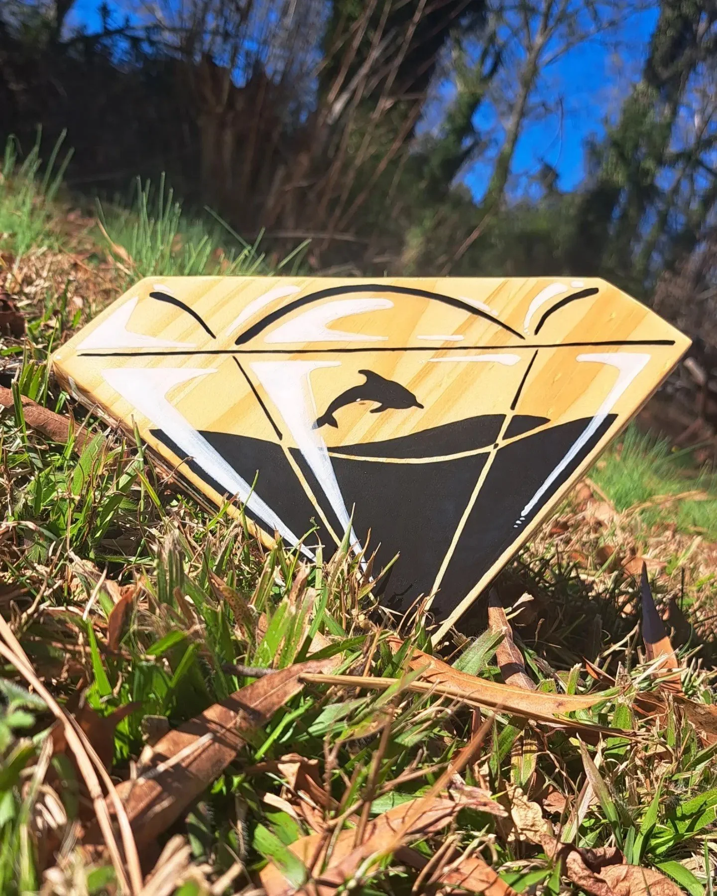 Dolphin in a Diamond