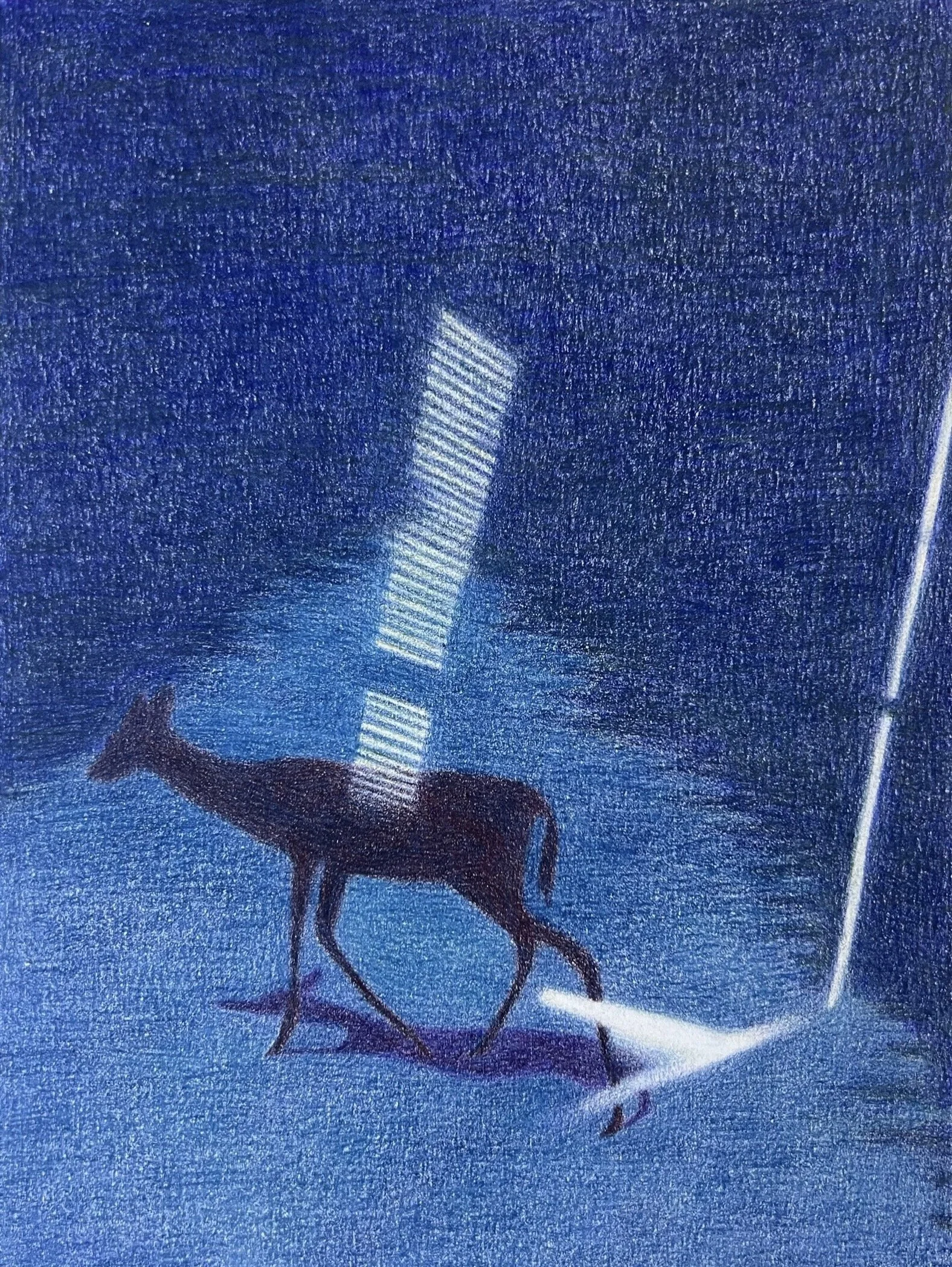 ...Like a Deer Waits for Death in the Headlights
