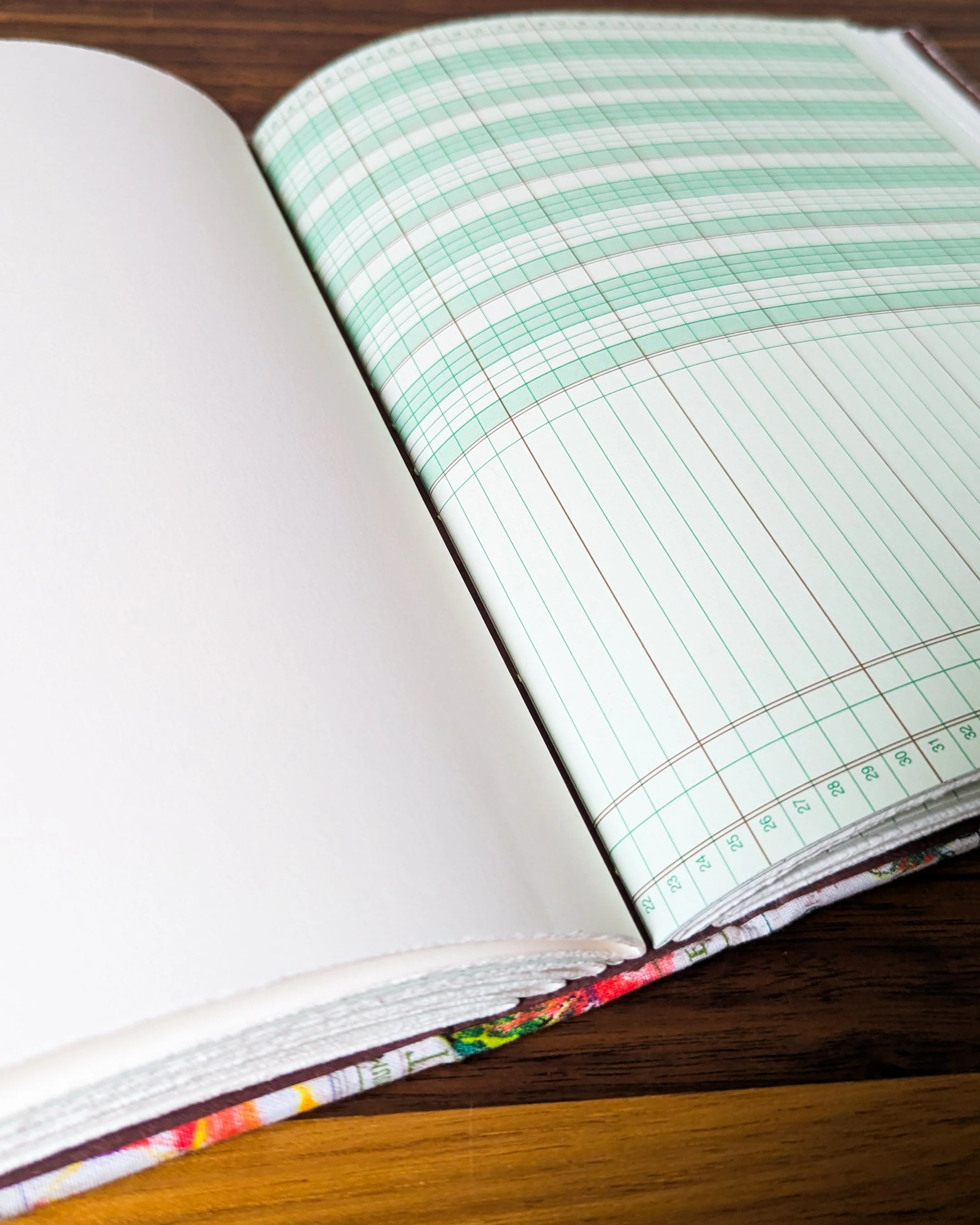 veggie garden journal 5.jpg