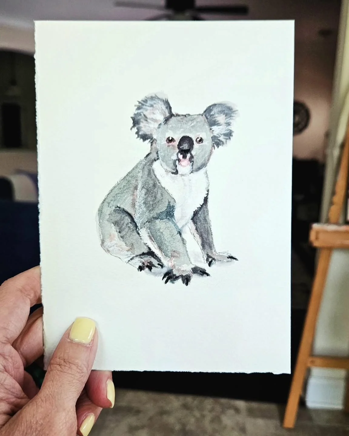 Koala