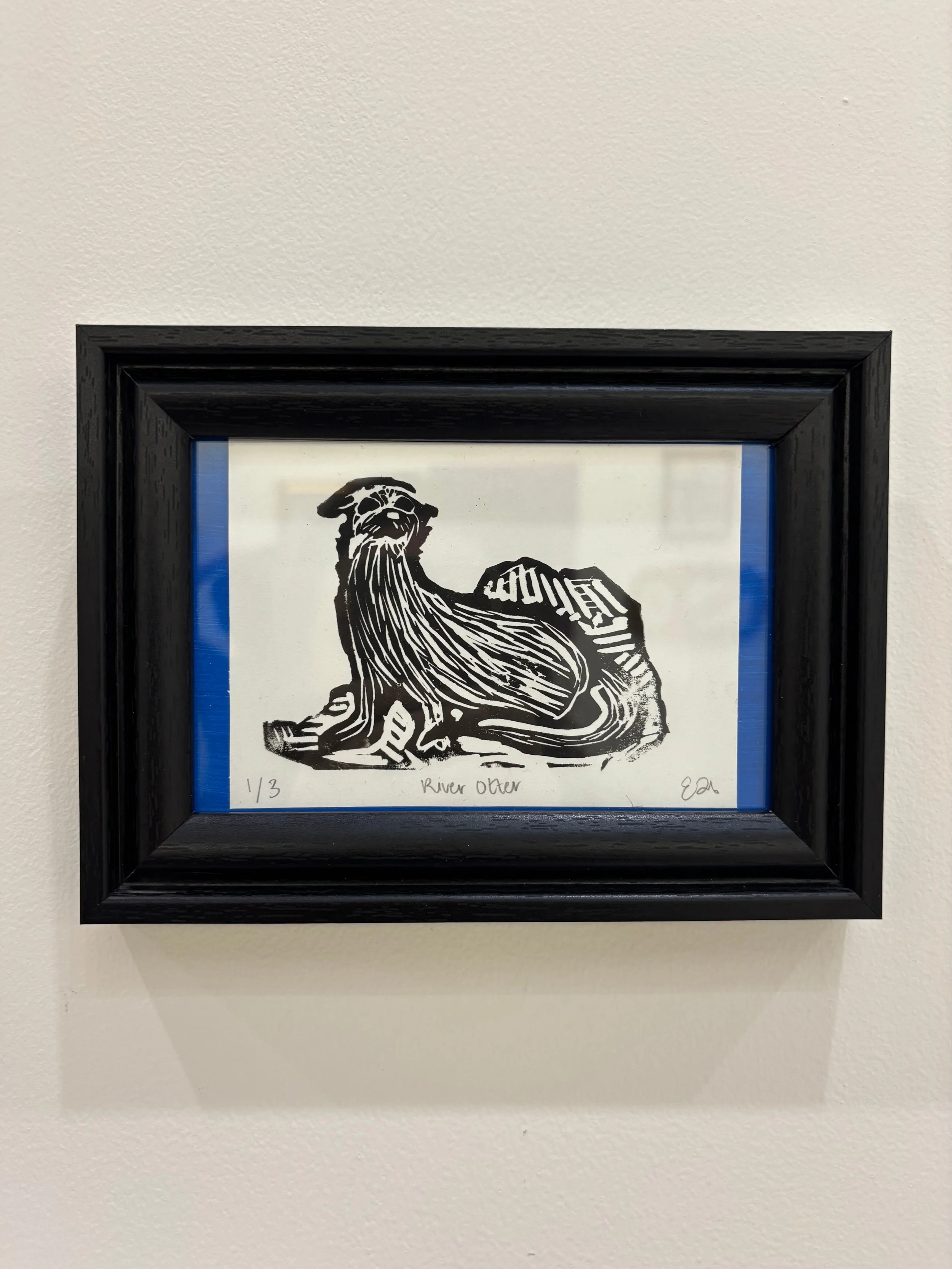 otter.jpg