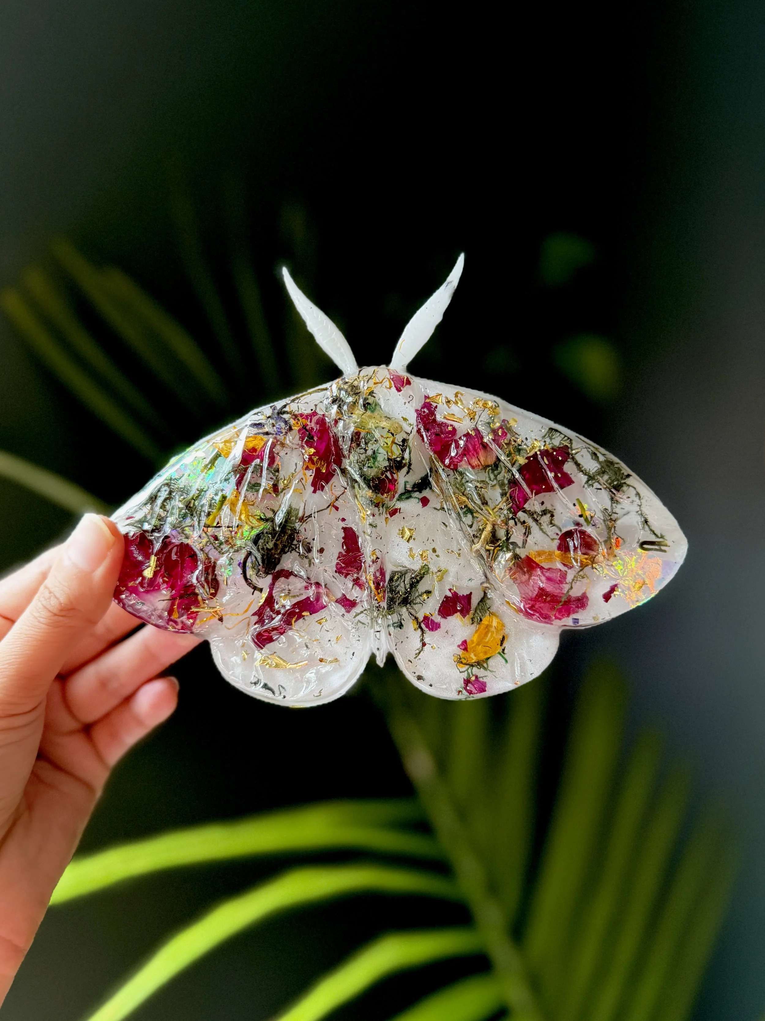 Botanical Moth Wall Art