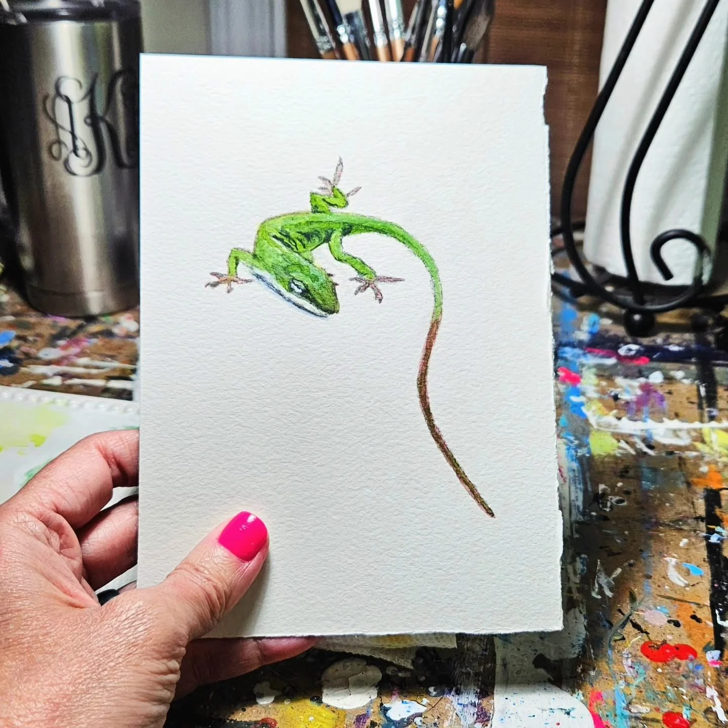 Carolina Anole