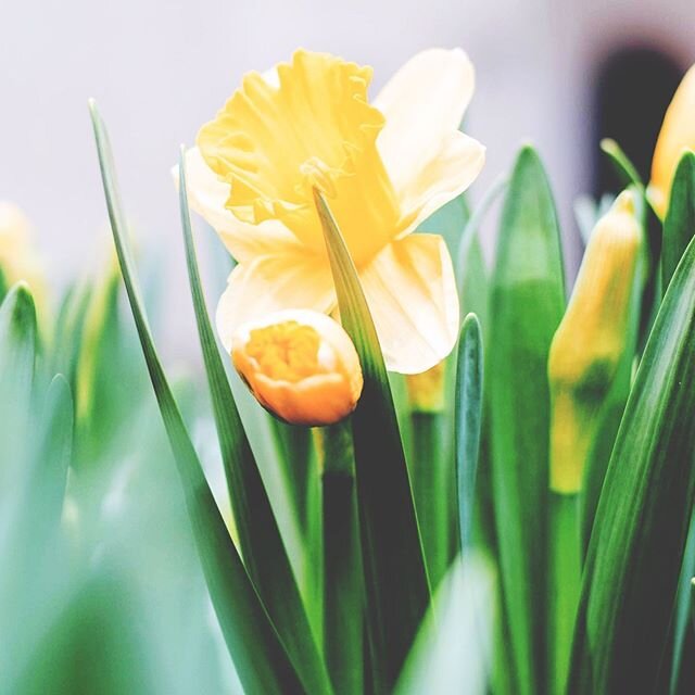 Happy Easter everyone! 🐣 ⠀
I wrote this blogpost a few years ago. The clocks have already gone forward but the weather is the same - it&rsquo;s suddenly got much better here in the UK. ☀️ ⠀
⠀
⠀
The sun is STREAMING through the ⠀
⠀
window this mornin