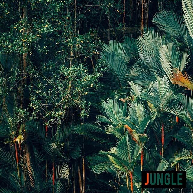 Good morning!⠀
⠀
This post is about how to pronounce the &lsquo;j&rsquo; sound that you hear at the beginning of the word JUNGLE. 🗣⠀
⠀
Below is a list of words with this sound.⠀
⠀
I&rsquo;ve done an AUDIO RECORDING 🎤 and uploaded it to my blogpost 