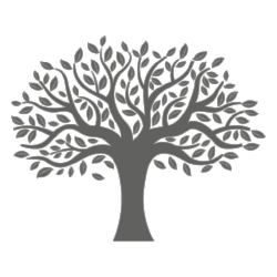 Tree Silhouette.png