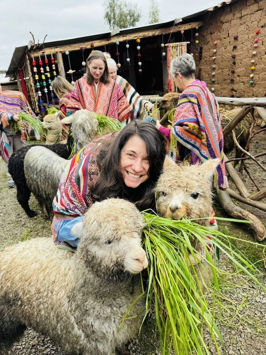 Help feed alpacas, organic farm, Sacred Valley, Peru.jpeg