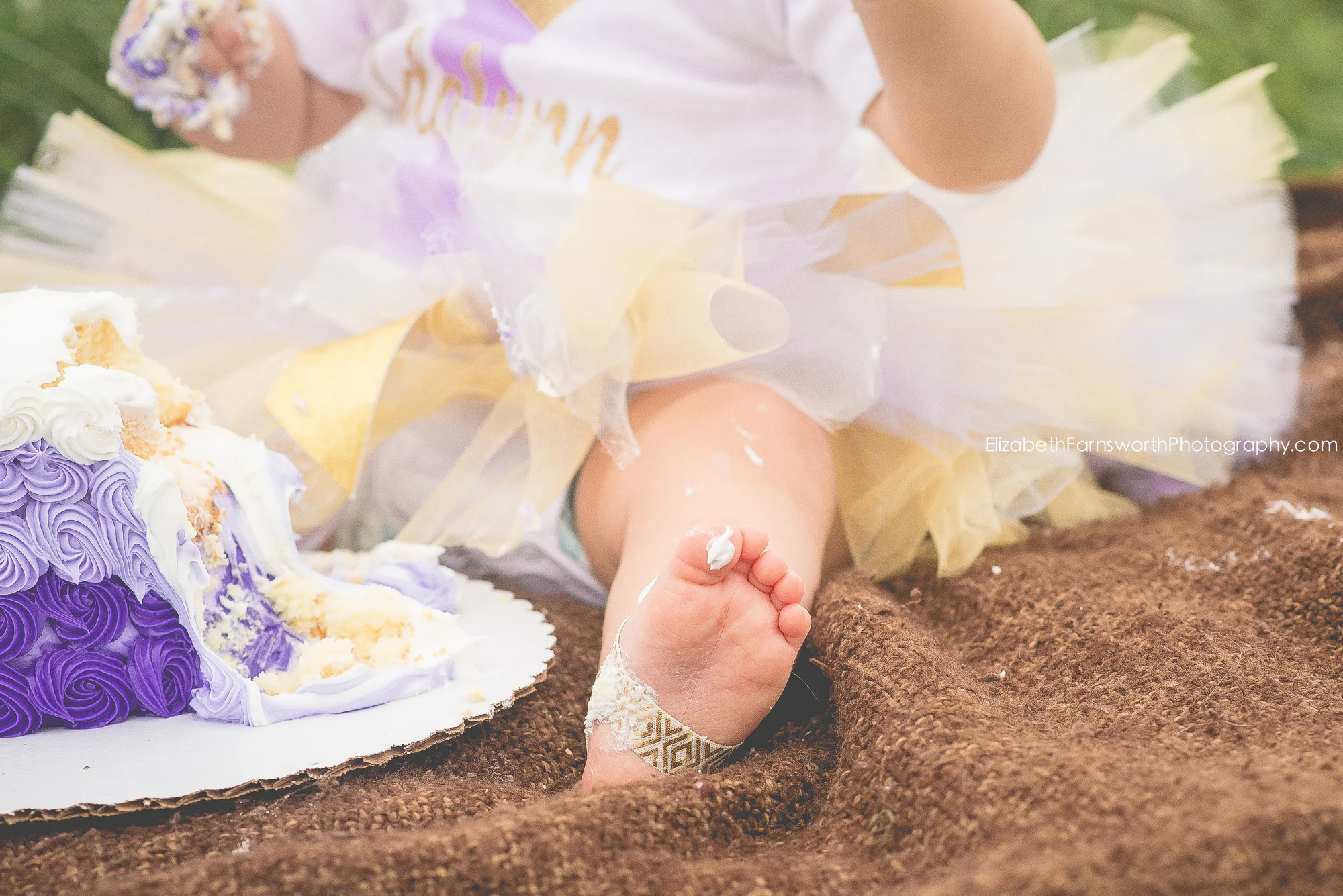 roanoke-va-cake-smash-session-first-birthday-session