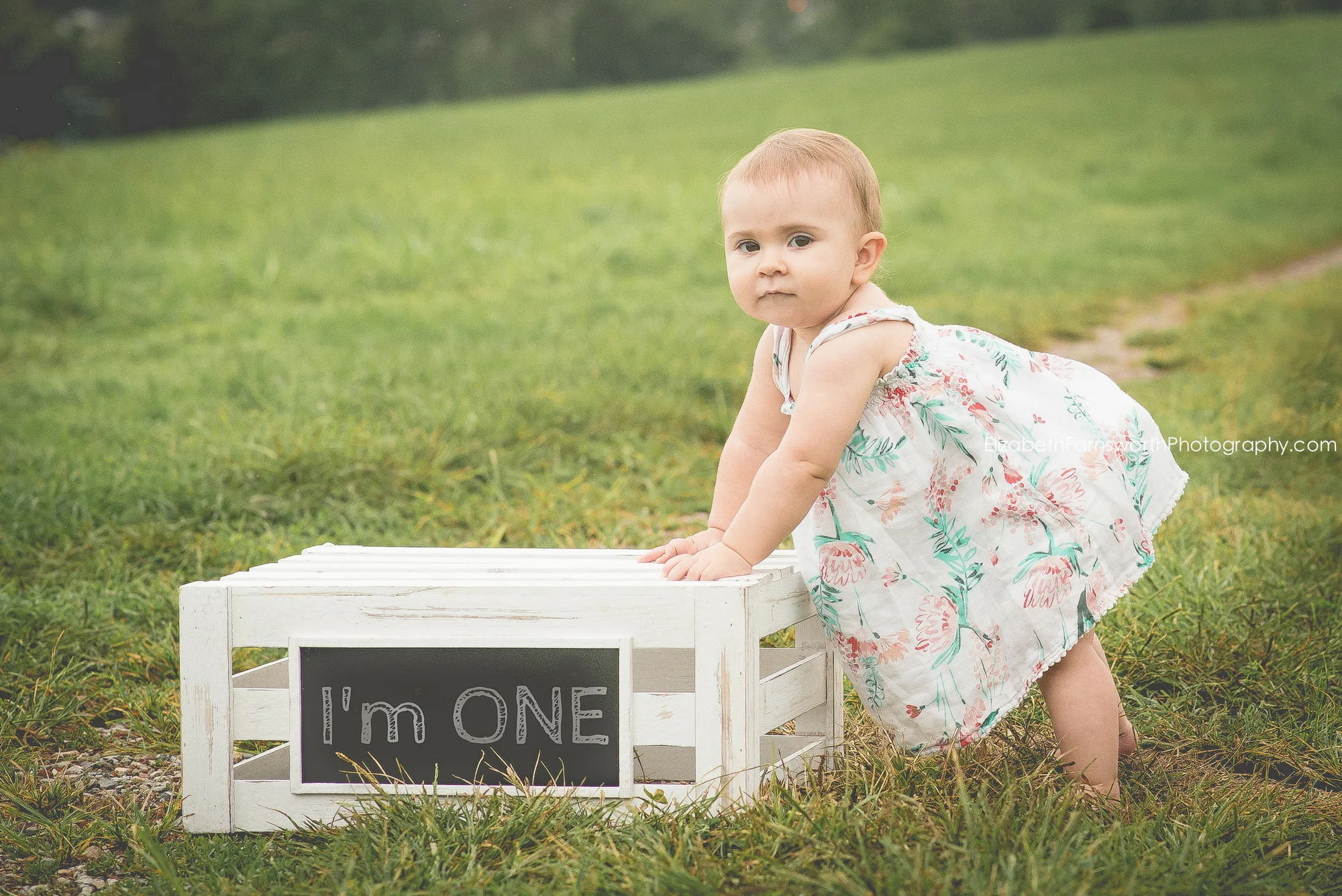 1one-1.jpg