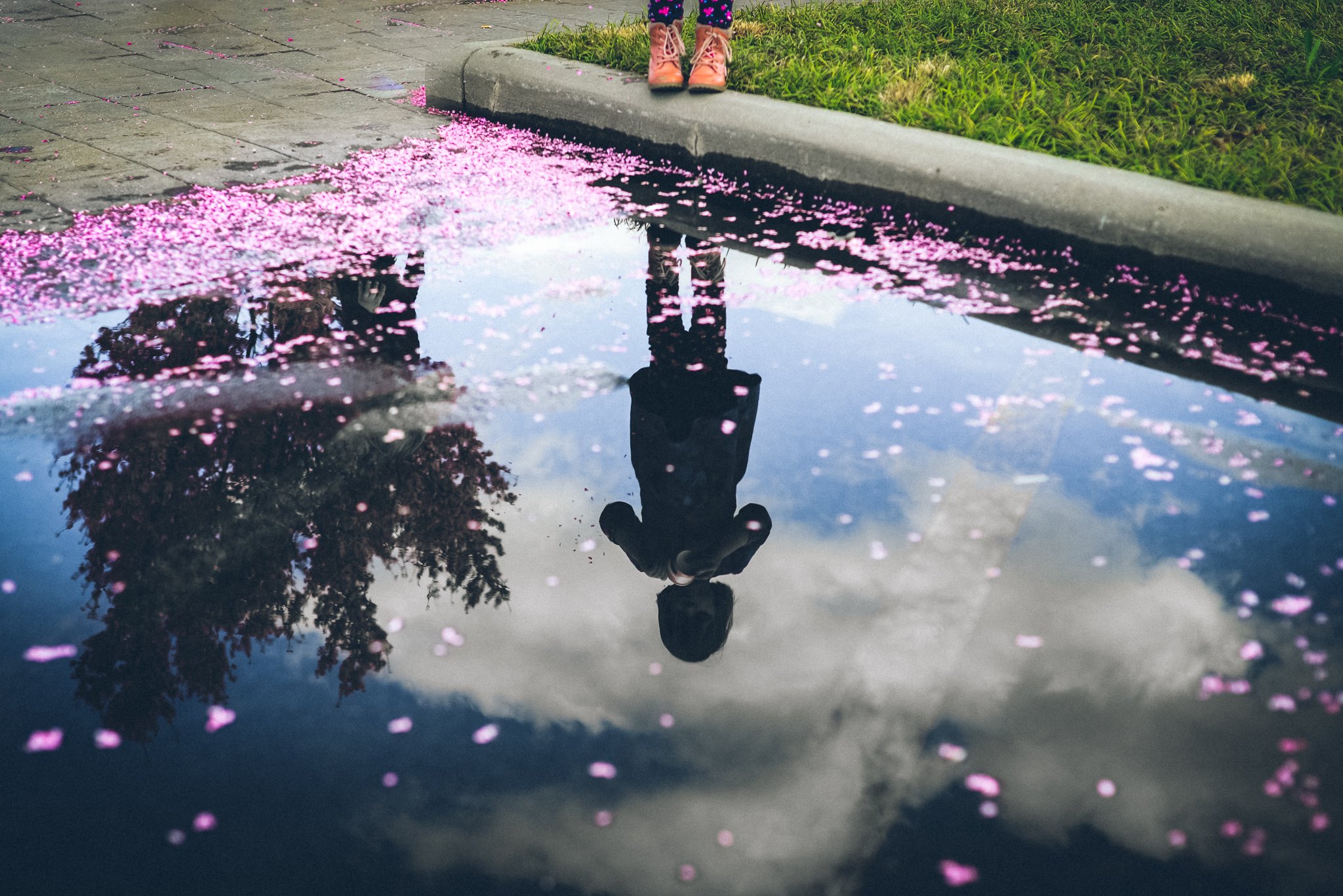 roanoke-virginia-dslr-class-mom-photography-group