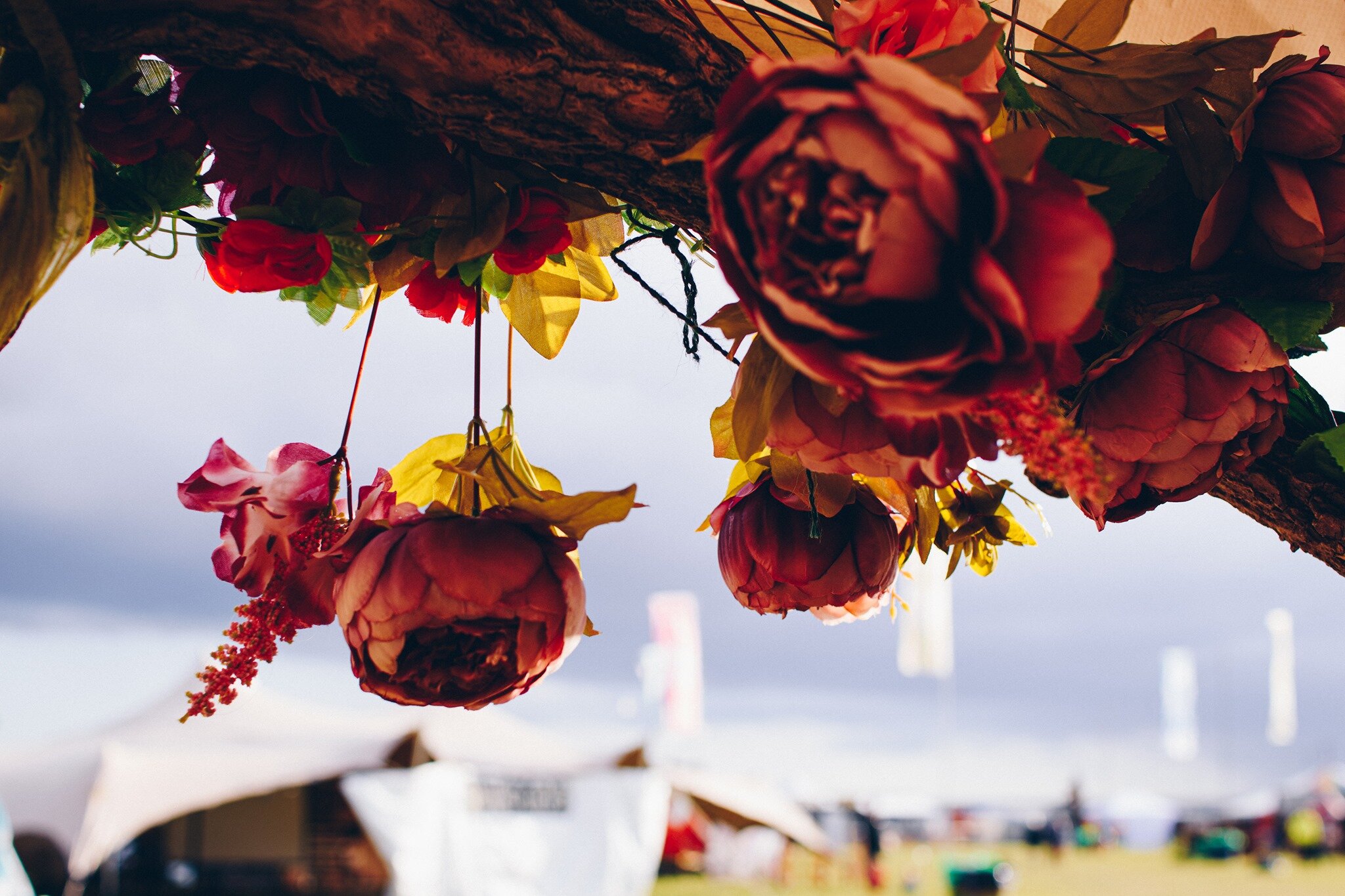 flowers.jpg