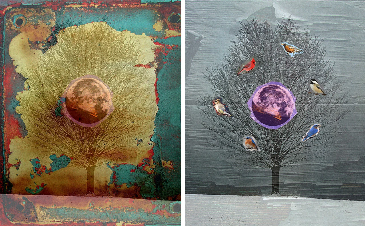 Personal Work - 'Winter' Digital/Mixed Media