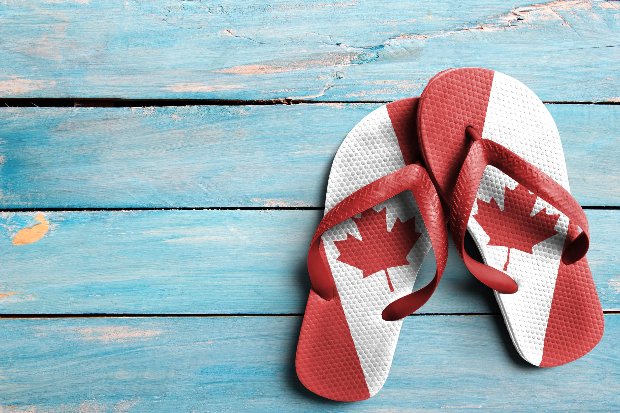 The Canada Summer Jobs program