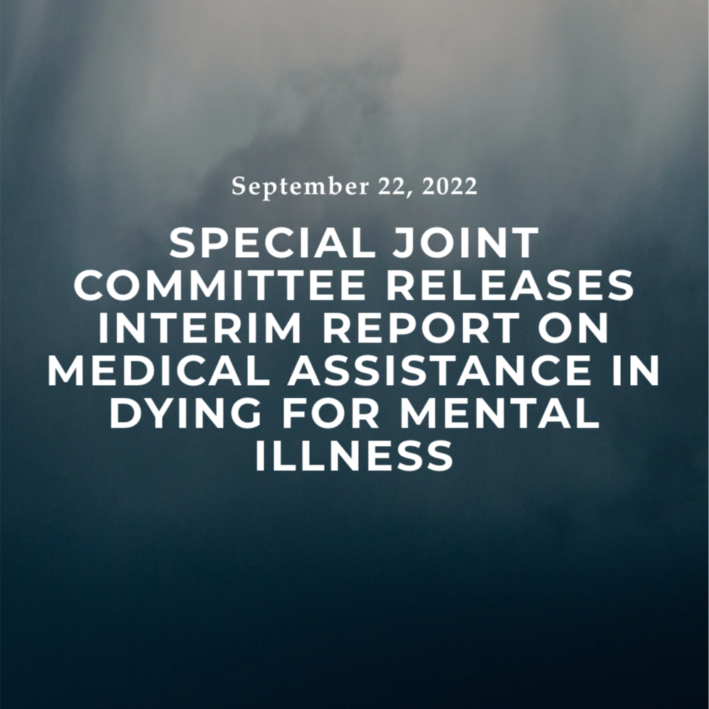 AMAD Interim Report