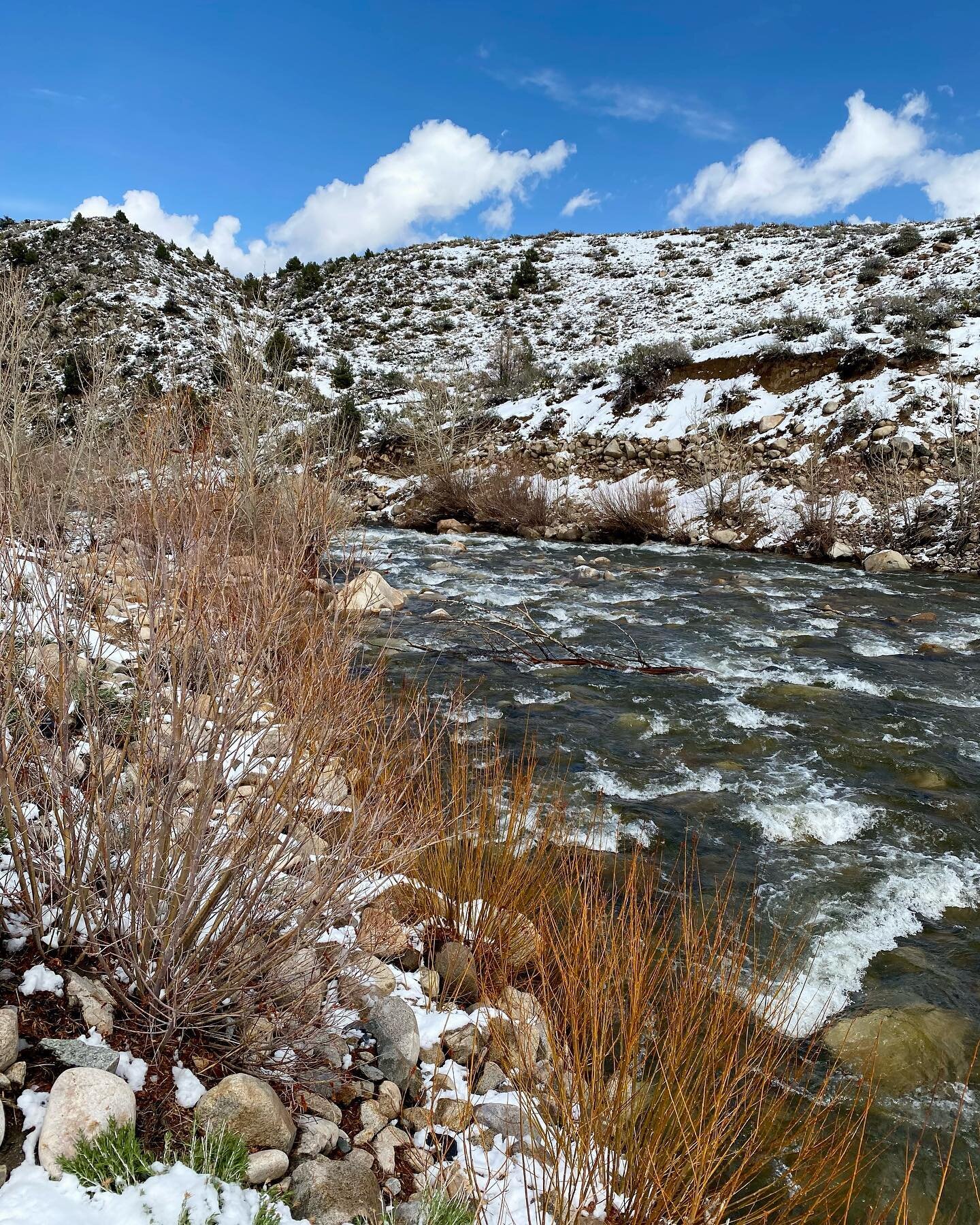 2 days after leaving Death Valley and the heat of 97 F, we were driving north on the east side of the Sierra Nevada on 395 through snow! Spring time in California!

#eastsidesierranevada #eastsidesierras #395north #visitcalifornia