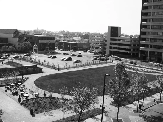 Ariel_b-w.jpg