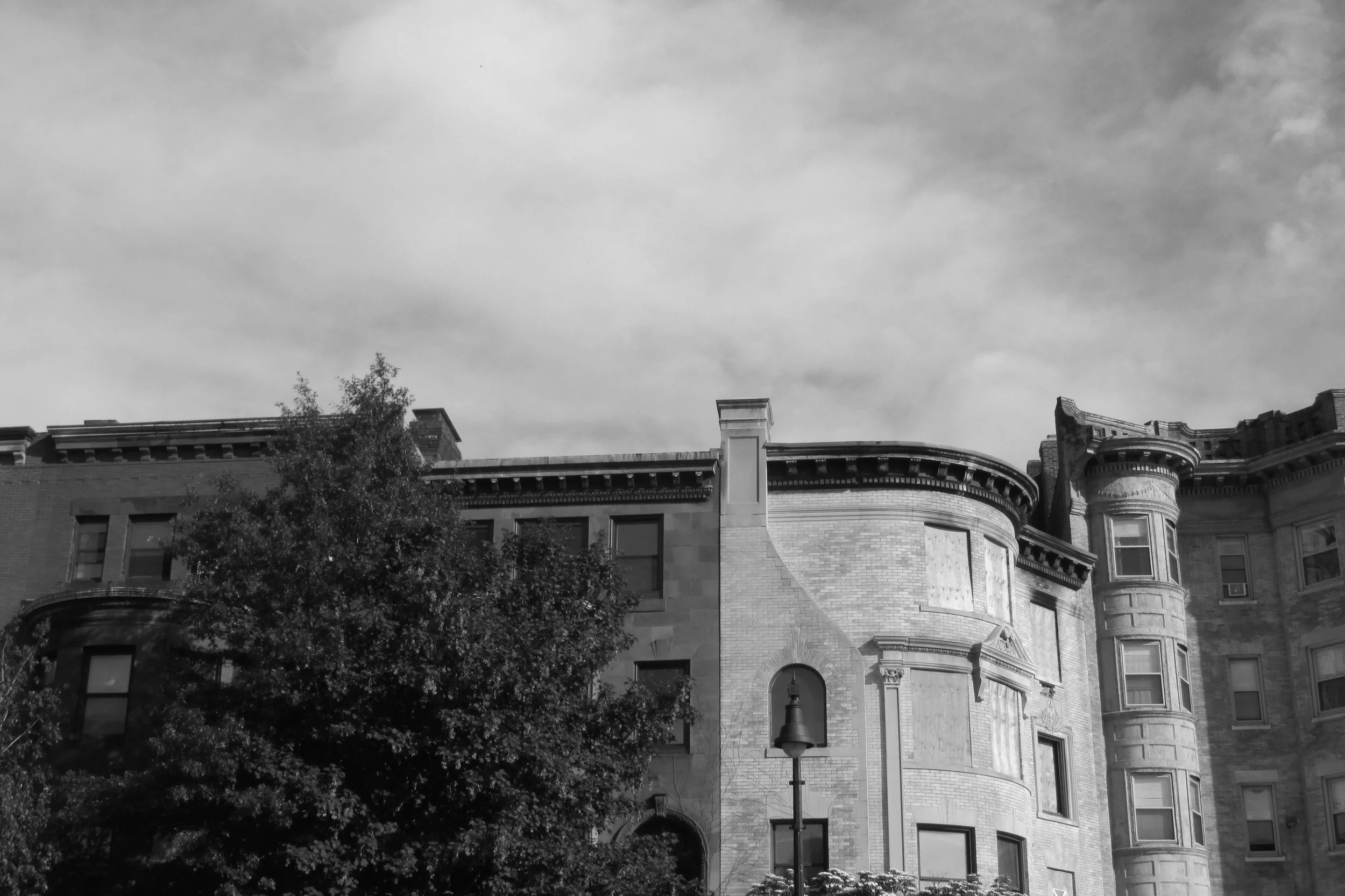 IMG_3078.jpg