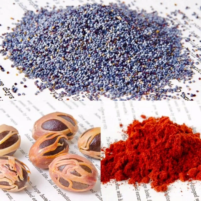 STARTUP SNAPSHOT: Burlap &amp; Barrel