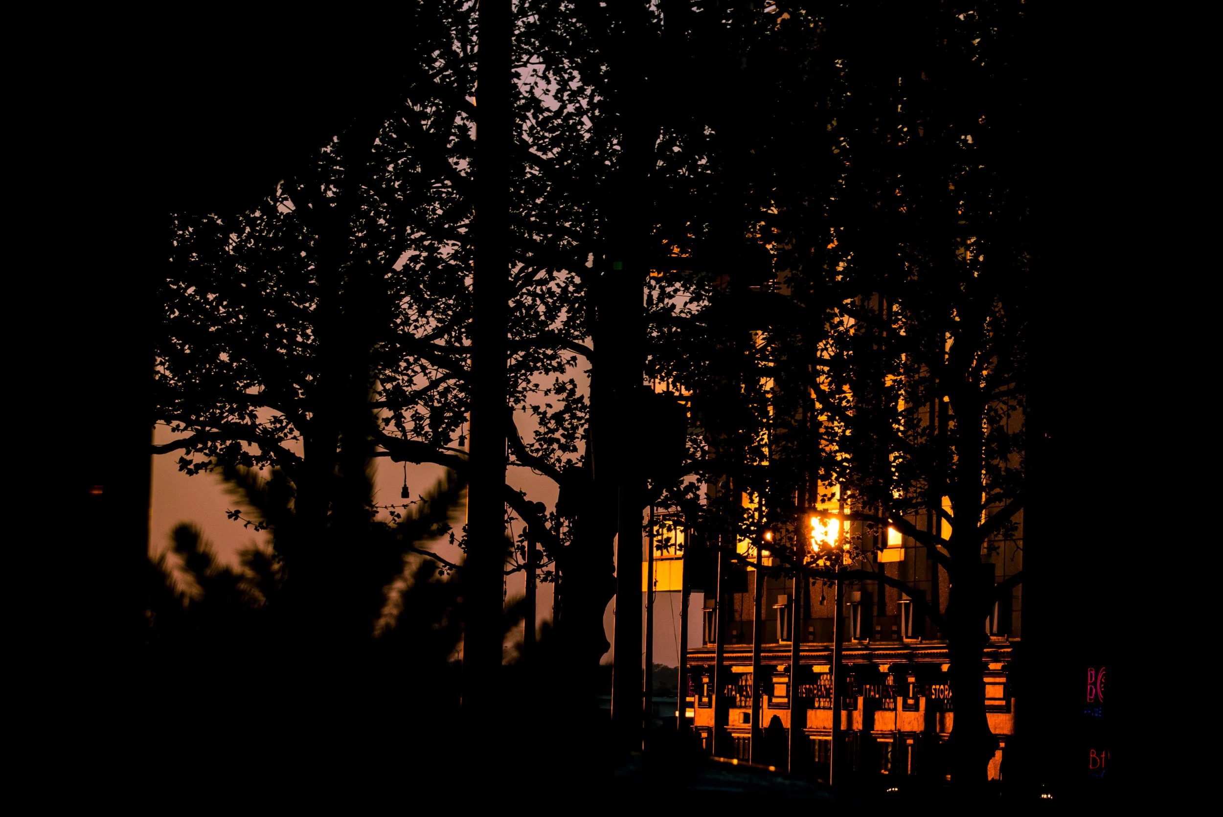 DSC_0619.jpg