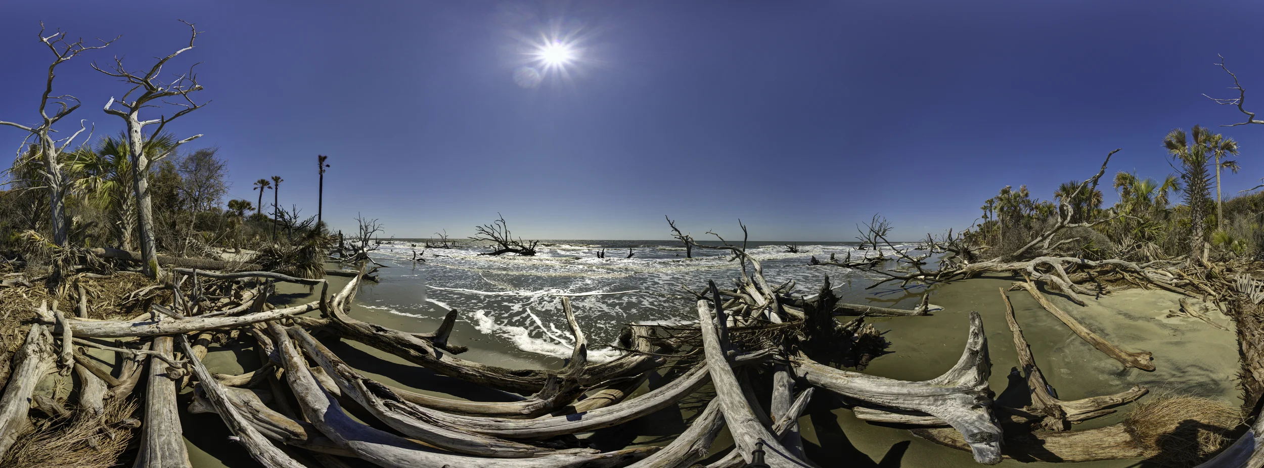 Boneyard