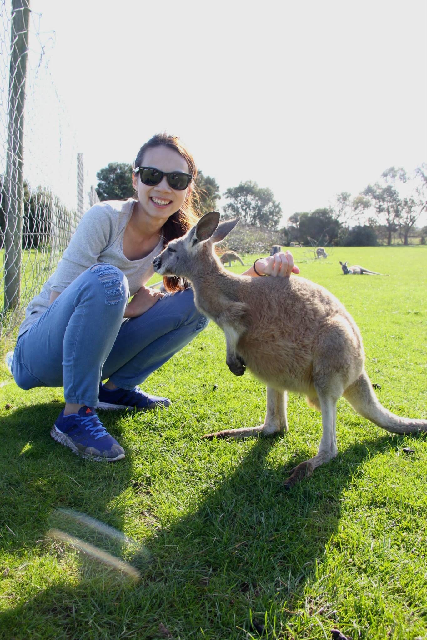 Meet Friend Kang. in Australia