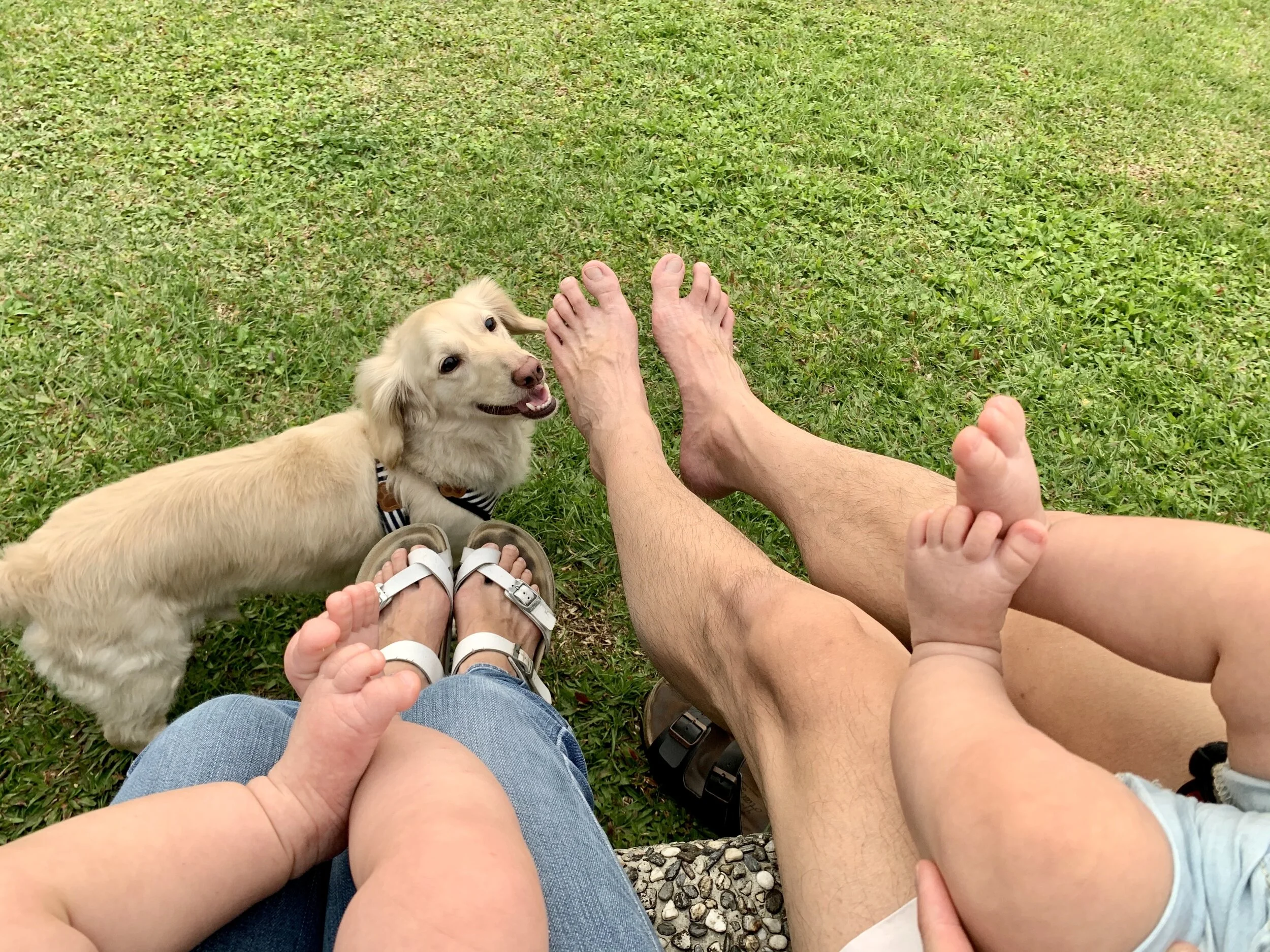 2020回顧 & 2021展望