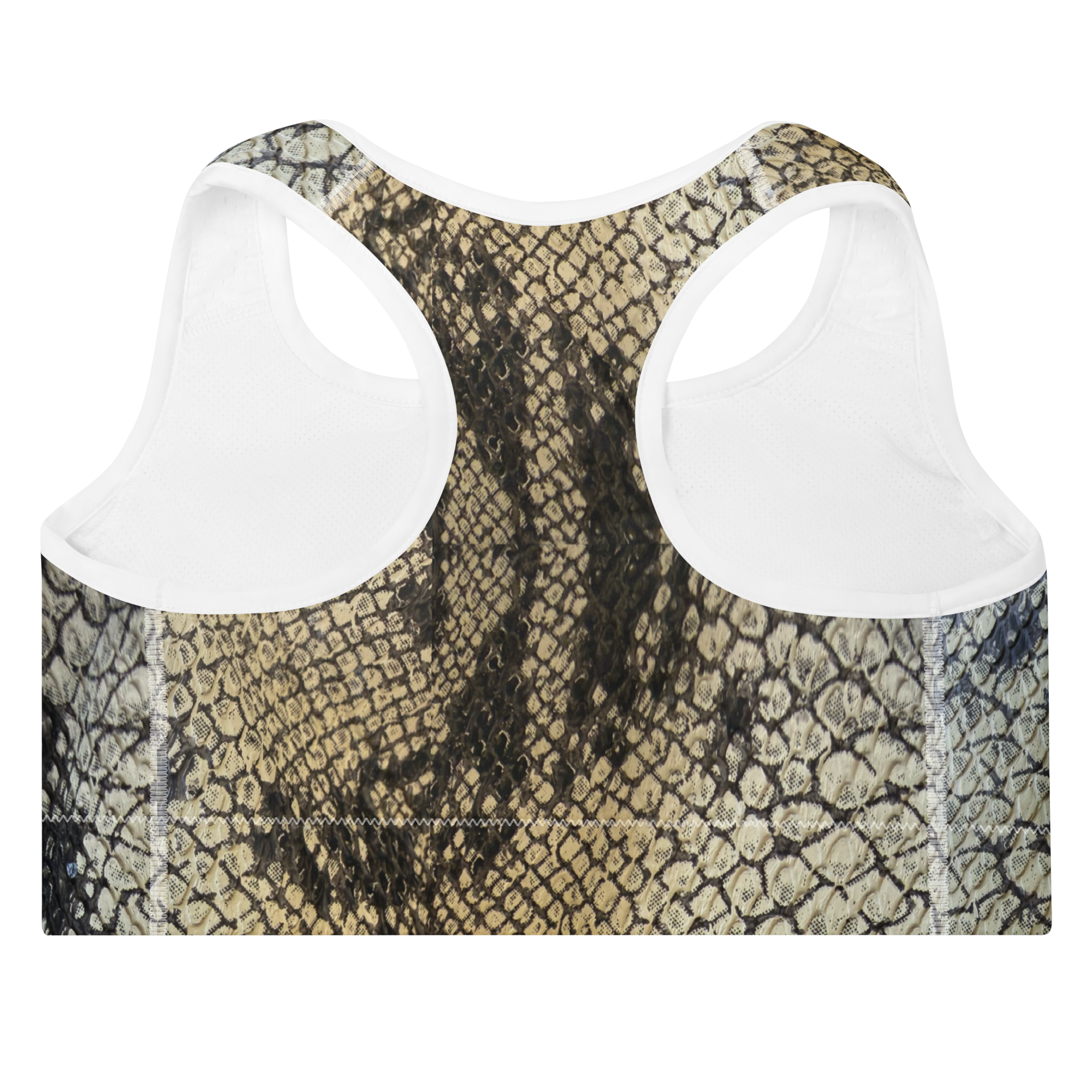 all-over-print-padded-sports-bra-white-back-6acfef49ae50e.png